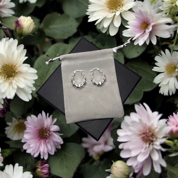 Elegant Silver Hoop Earrings - Picture 1 of 6